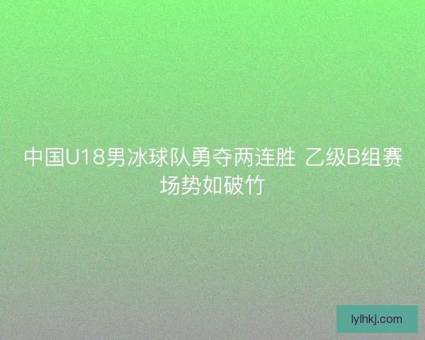 中国U18男冰球队勇夺两连胜 乙级B组赛场势如破竹 中国U18男冰球队勇夺两连胜 乙级B组赛场势如破竹