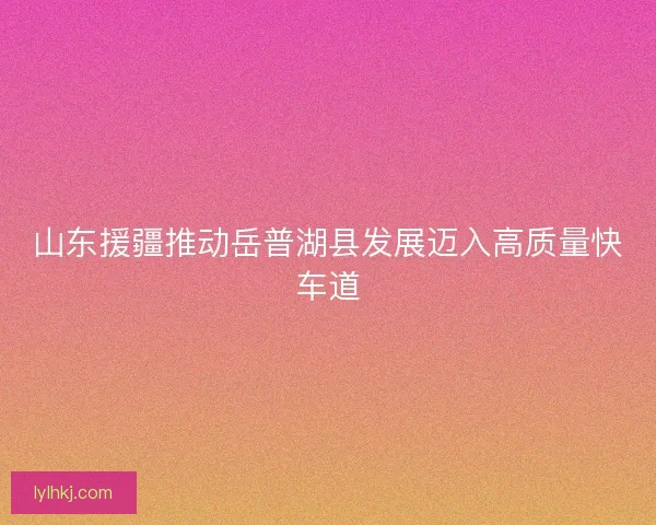 山东援疆推动岳普湖县发展迈入高质量快车道